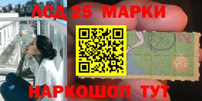 индика Заводоуковск