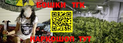 индика Заводоуковск