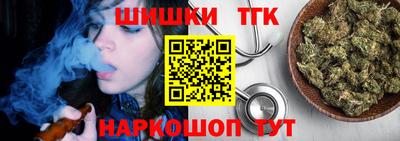 индика Заводоуковск