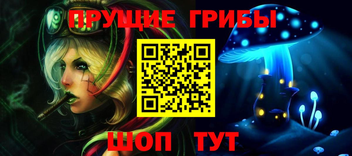 Галлюциногенные грибы прущие грибы  Псилоцибиновые грибы мицелий  Кинель  Вход с VPN 