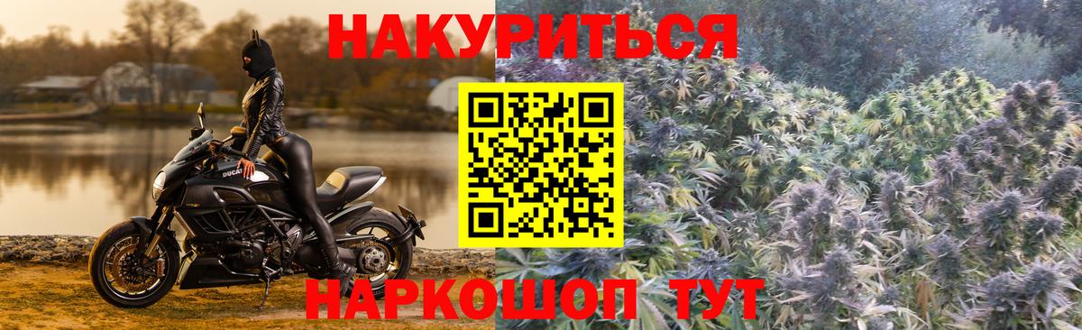 Бошки Шишки конопля Кинель